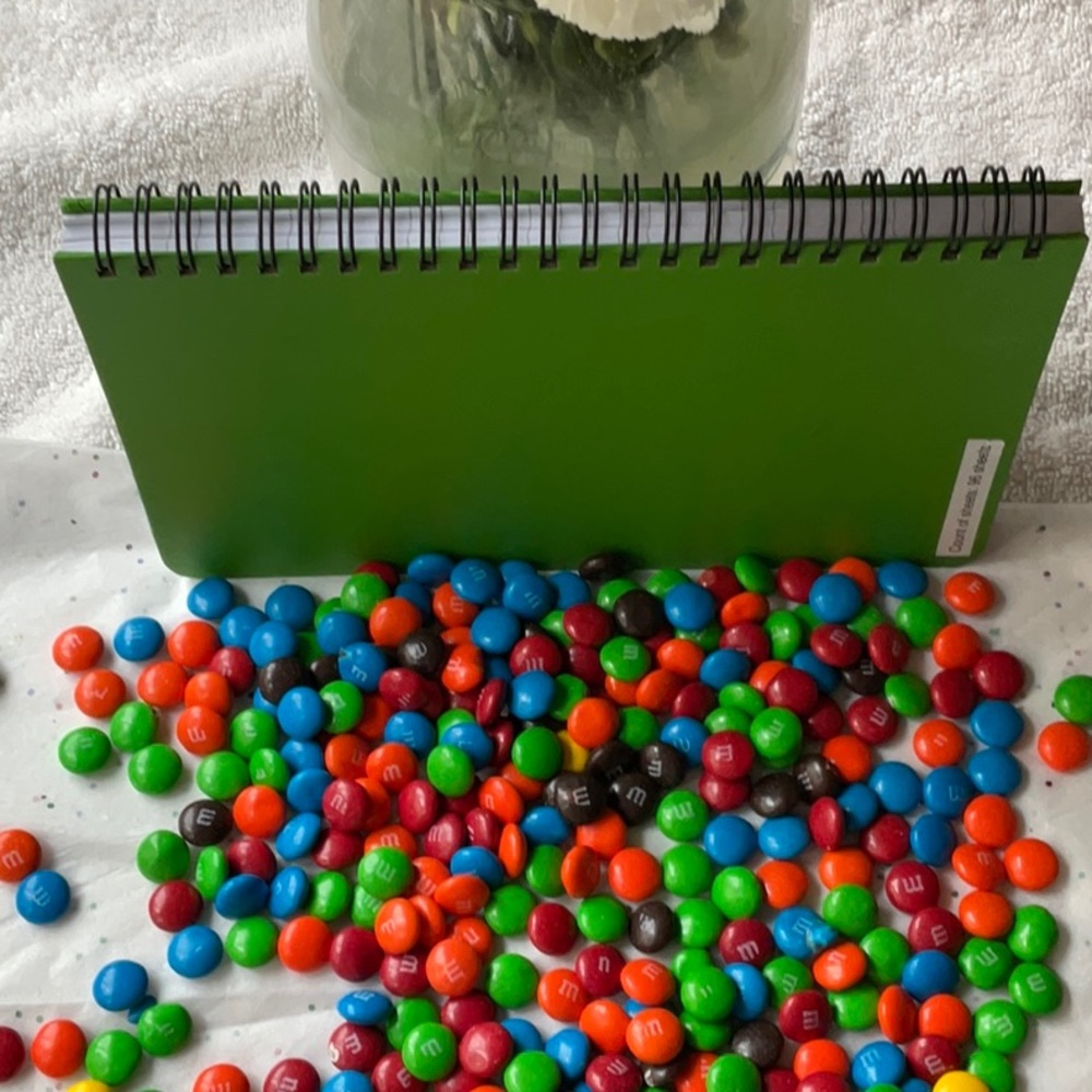 📗💙 M&M’S NOTEBOOK 📗💙 - Picture 16 of 16